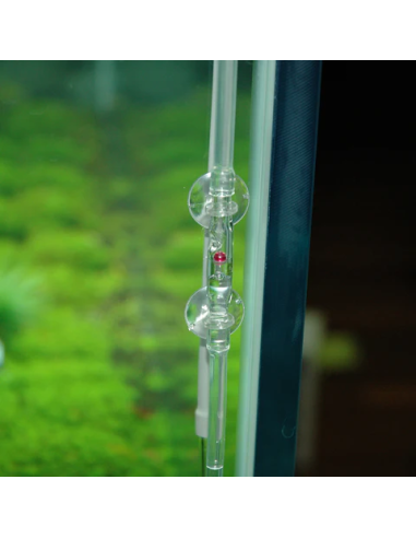 ADA - Cabochon Rubis (Clapet anti-retour)