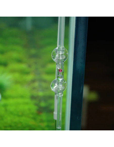 ADA - Cabochon Rubis (Clapet anti-retour)