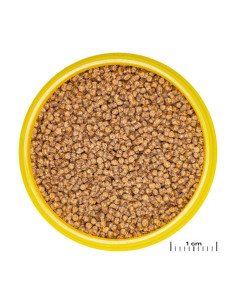JBL - Pronovo Lotl Grano S 100 ml Click 2