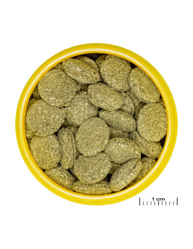 JBL - ProNovo Pleco Wafer M 100ml