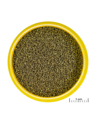 JBL - ProNovo Danio-Grano XS 100 ml