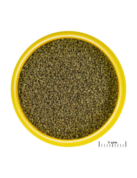 JBL - ProNovo Danio-Grano XS 100 ml