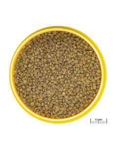 JBL - Pronovo Gourami Grano S 250ml 2