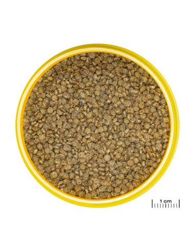 JBL - Pronovo Gourami Grano S 250ml