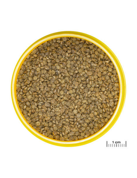 JBL - Pronovo Gourami Grano S 250ml