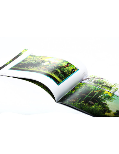 ADA - SUIKEI CREATORS Vol. 01