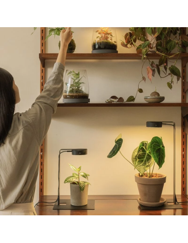 ONF - MIST O Lighting Stand Kit