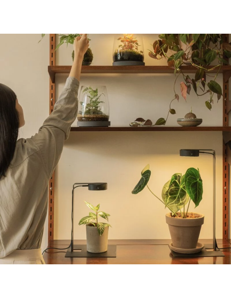 ONF - MIST O Lighting Stand Kit