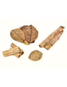 Mix 4 produits Naturels Catappa set Nano