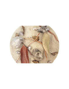 Wio - Bed Rivulet Biotope Mix 2kg 2