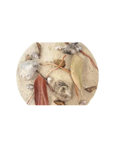 Wio - Bed Rivulet Biotope Mix 2kg