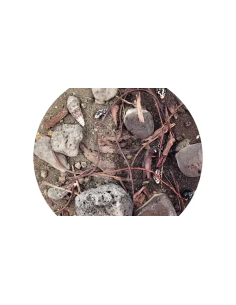 Wio - Beck Biotope Mix 2kg 2