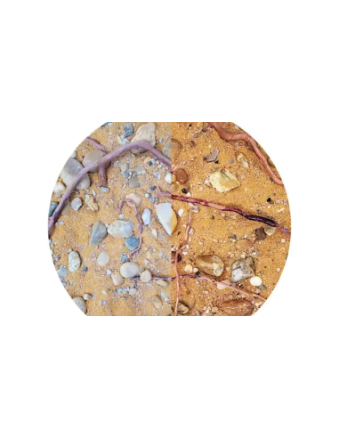 Wio - Mere Biotope Mix 2kg