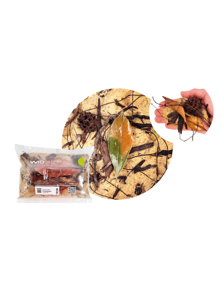 Wio - Everglades Biotope Mix 2kg