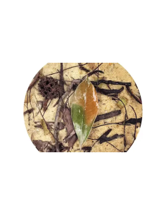 Wio - Everglades Biotope Mix 2kg 2