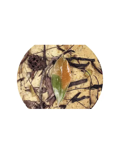 Wio - Everglades Biotope Mix 2kg