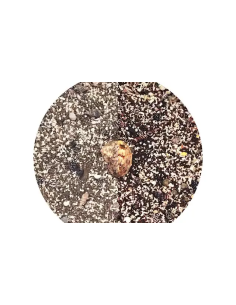 Wio - Nautilus Light Biotope Mix 2kg 2