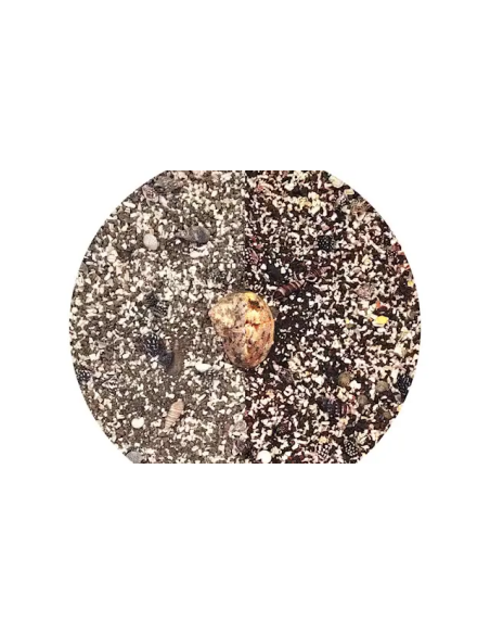 Wio - Nautilus Light Biotope Mix 2kg