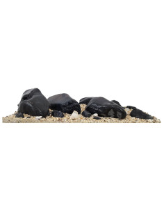 Wio - Nautilus Light Decor Kit Aquascaping