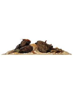 Wio - Rivulet Decor Kit Aquascaping