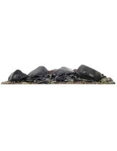 Wio - Ibon Decor Kit Aquascaping
