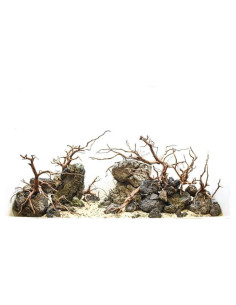 Hardscape sur photo - Racines/Roches