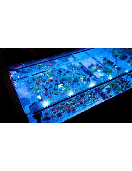 Skylight Hyperspot RS (eau de Mer)