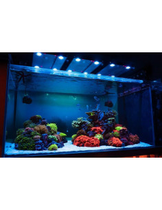 Skylight Hyperspot RM (eau de Mer) 2