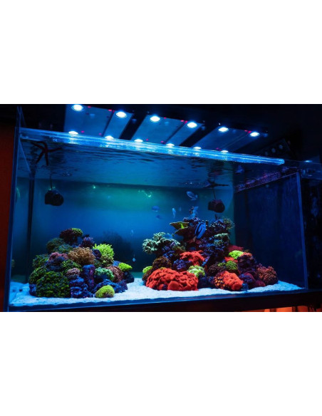 Skylight Hyperspot RM (eau de Mer)