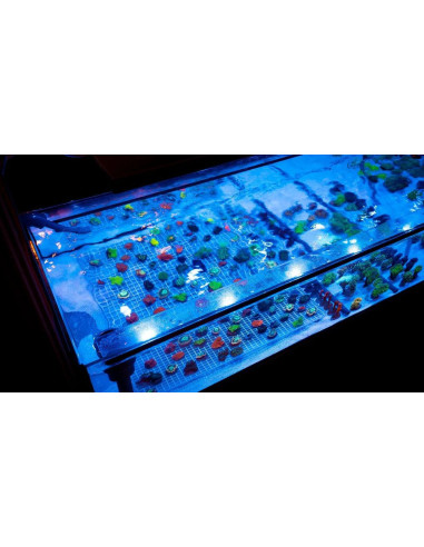 Skylight Hyperspot RL (eau de Mer)