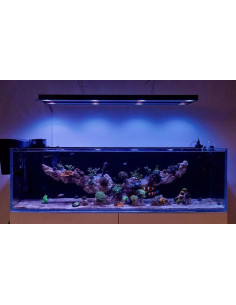 Skylight Hyperspot RL (eau de Mer) 2