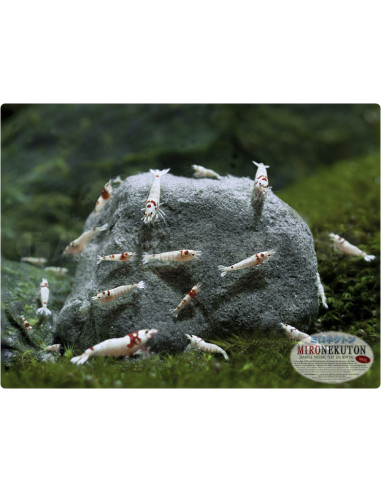 MIRONEKUTON - Stones 300 g