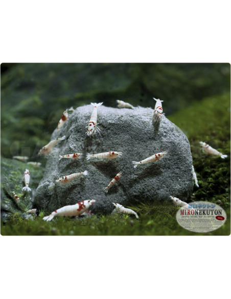 MIRONEKUTON - Stones 300 g