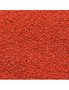 Dennerle - Shrimp King Color 2