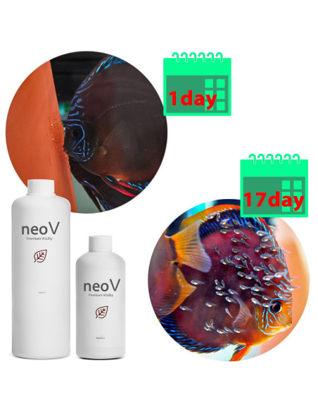 Aquario - Neo V  Water Conditioner 300ml