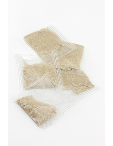 Dennerle Plants - CO2 Starter Kit