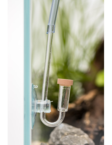 Dennerle Plants - CO2 Starter Kit