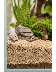 Dennerle Plants - Substrate 1L 2