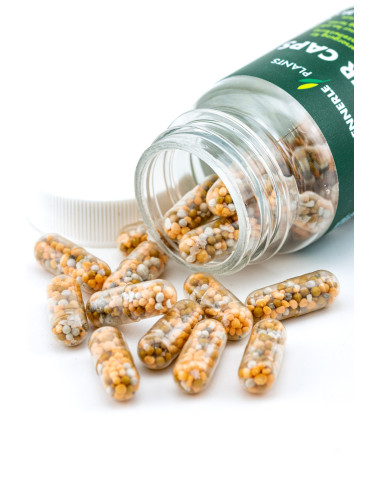 Dennerle Plants - Power Caps x25 pcs