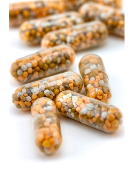 Dennerle Plants - Power Caps x25 pcs