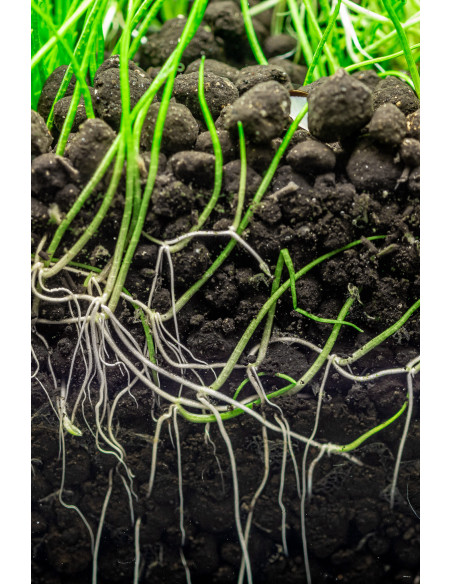 Dennerle Plants - Soil 9L