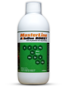 MasterLine - All In One Boost 500ml