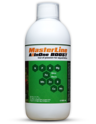 MasterLine - All In One Boost 500ml