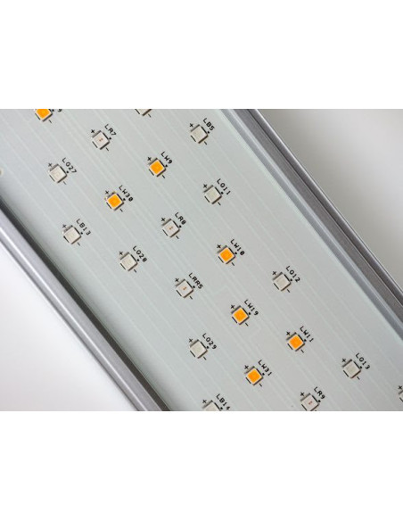 Twinstar Light IV 200EA (ajustable)