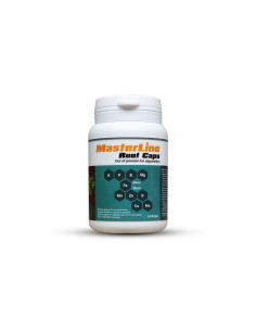 MasterLine - Root Caps 60pcs