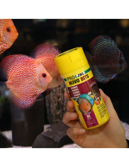 JBL - ProNovo BITS Grano M 250ml CLICK