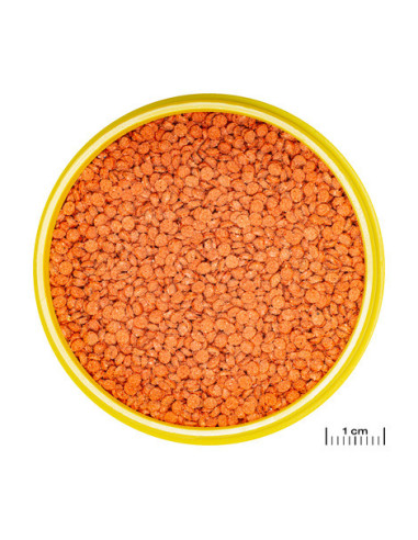 JBL - ProNovo BITS Grano M 250ml CLICK