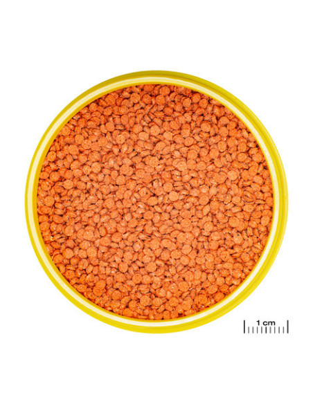 JBL - ProNovo BITS Grano M 250ml CLICK