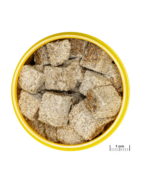 JBL - ProNovo FEX 100ml