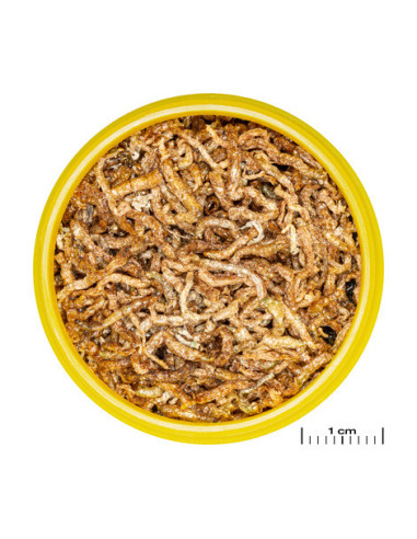 JBL - ProNovo FIL 100ml